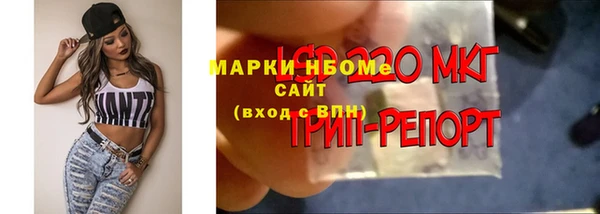 jwh Бородино