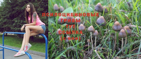 PSILOCYBIN Балахна