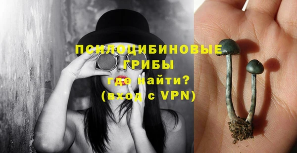 mdma Богданович
