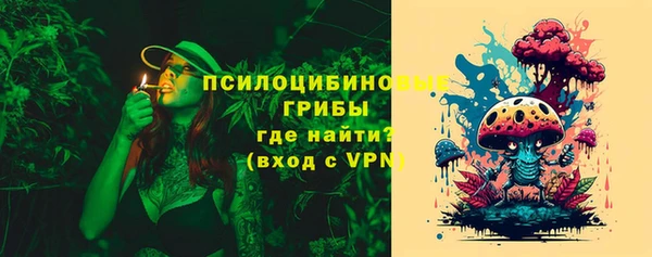 jwh Бородино